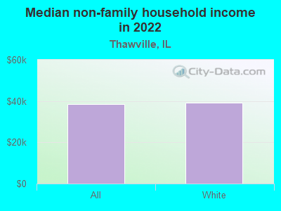 Median non-family household income in 2022