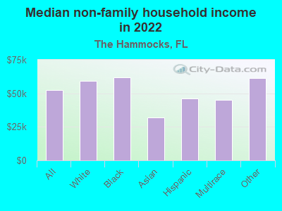 Median non-family household income in 2022