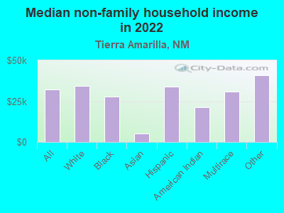 Median non-family household income in 2022