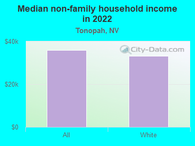 Median non-family household income in 2022