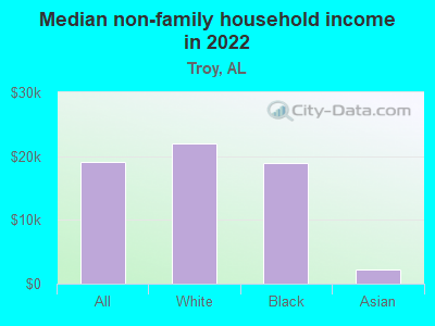 Median non-family household income in 2022