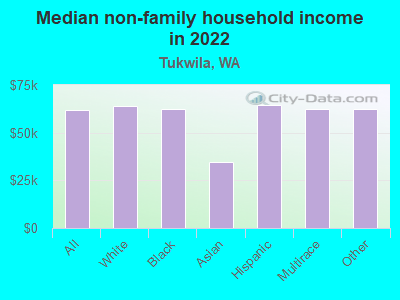 Median non-family household income in 2022