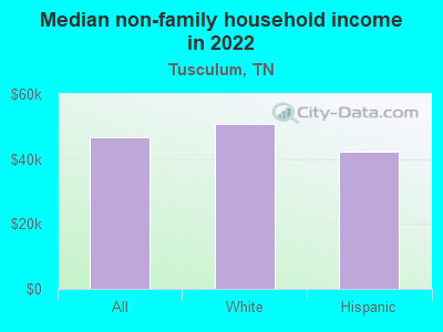 Median non-family household income in 2022