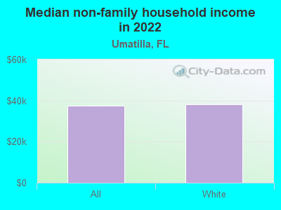 Median non-family household income in 2022