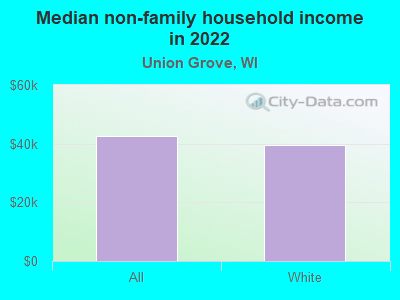 Median non-family household income in 2022