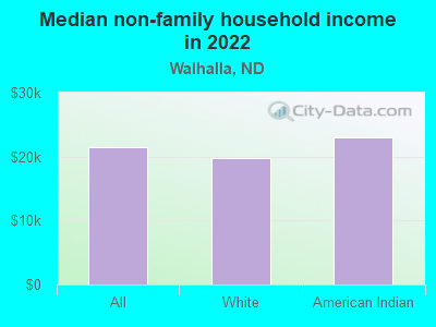 Median non-family household income in 2022