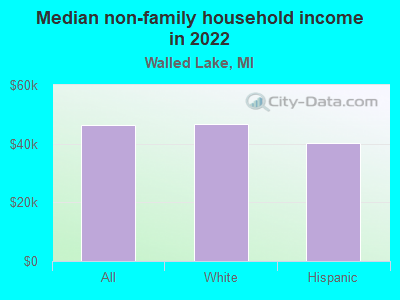 Median non-family household income in 2022