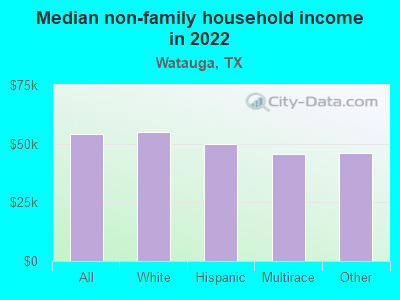 Median non-family household income in 2022