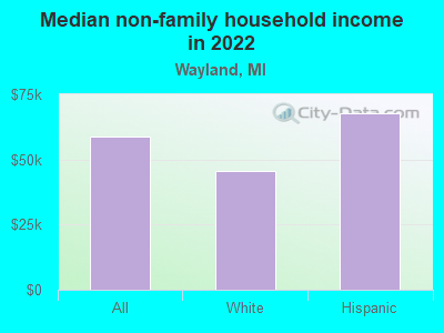 Median non-family household income in 2022