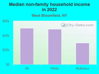 Median non-family household income in 2022