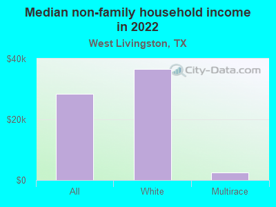 Median non-family household income in 2022