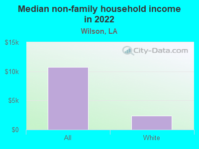 Median non-family household income in 2022