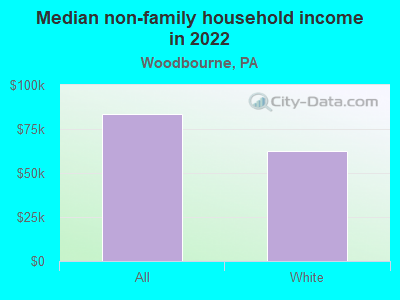 Median non-family household income in 2022