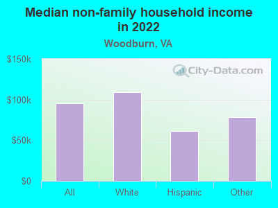 Median non-family household income in 2022