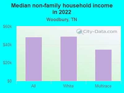 Median non-family household income in 2022