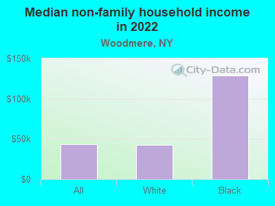 Median non-family household income in 2022