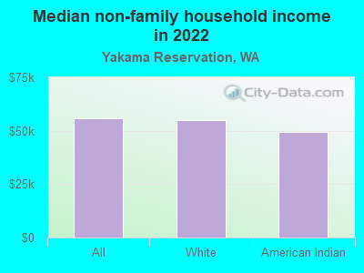 Median non-family household income in 2022