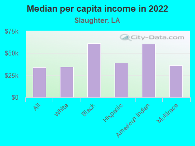 Median per capita income in 2022