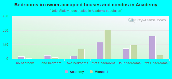 Bedrooms in owner-occupied houses and condos in Academy