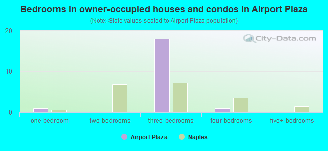 Bedrooms in owner-occupied houses and condos in Airport Plaza