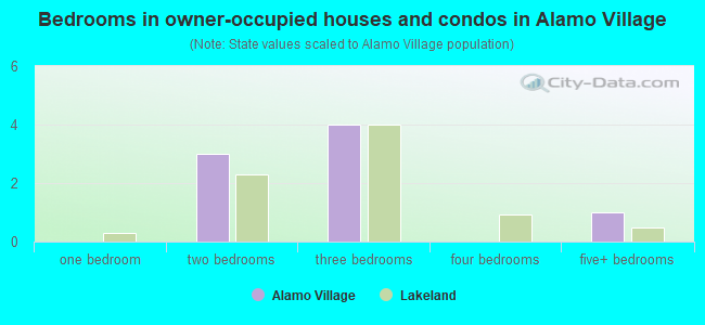 Bedrooms in owner-occupied houses and condos in Alamo Village