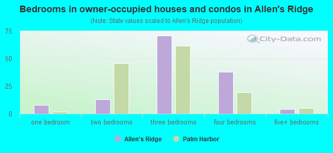Bedrooms in owner-occupied houses and condos in Allen's Ridge