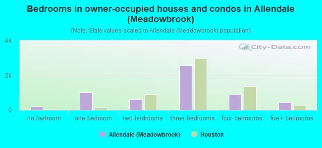 Bedrooms in owner-occupied houses and condos in Allendale (Meadowbrook)