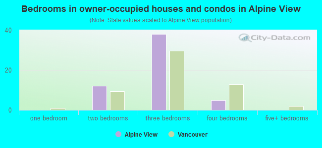 Bedrooms in owner-occupied houses and condos in Alpine View