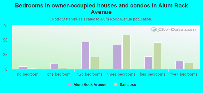 Bedrooms in owner-occupied houses and condos in Alum Rock Avenue