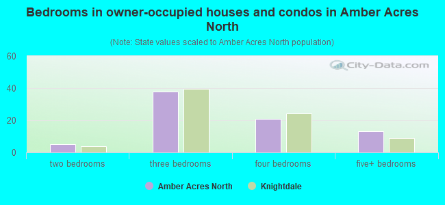 Bedrooms in owner-occupied houses and condos in Amber Acres North