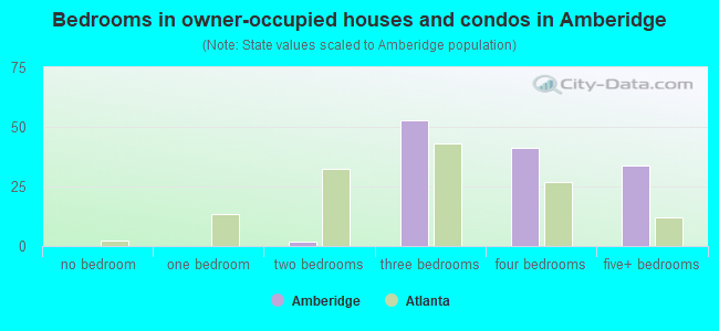 Bedrooms in owner-occupied houses and condos in Amberidge