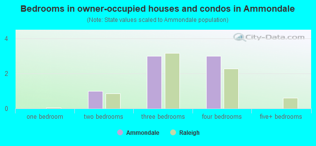 Bedrooms in owner-occupied houses and condos in Ammondale