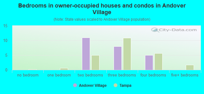 Bedrooms in owner-occupied houses and condos in Andover Village