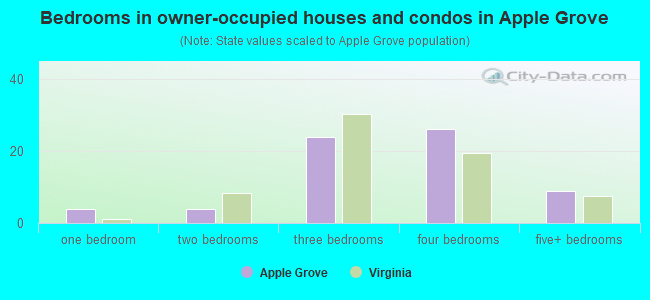 Bedrooms in owner-occupied houses and condos in Apple Grove
