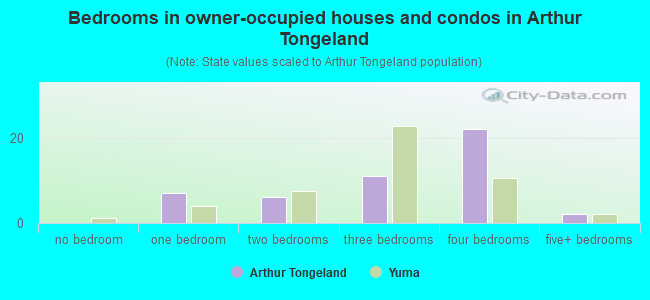 Bedrooms in owner-occupied houses and condos in Arthur Tongeland