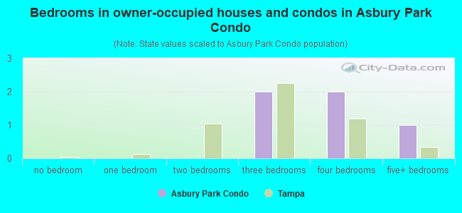 Bedrooms in owner-occupied houses and condos in Asbury Park Condo