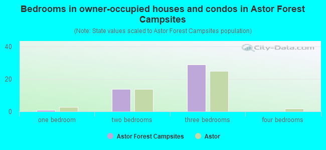 Bedrooms in owner-occupied houses and condos in Astor Forest Campsites