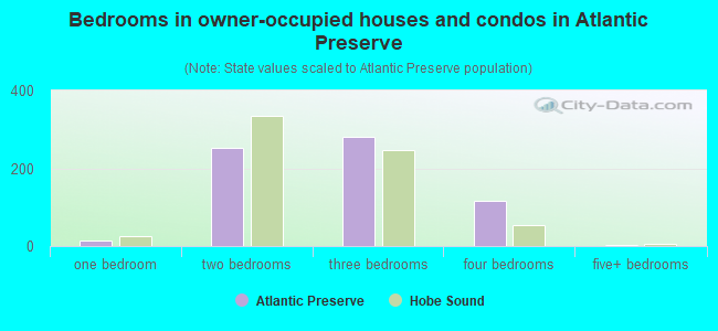 Bedrooms in owner-occupied houses and condos in Atlantic Preserve