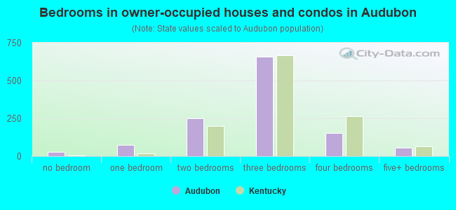 Bedrooms in owner-occupied houses and condos in Audubon