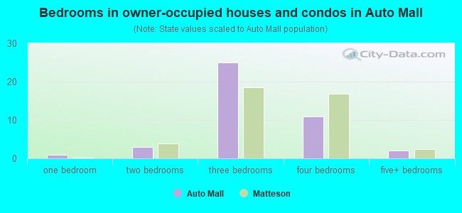 Bedrooms in owner-occupied houses and condos in Auto Mall