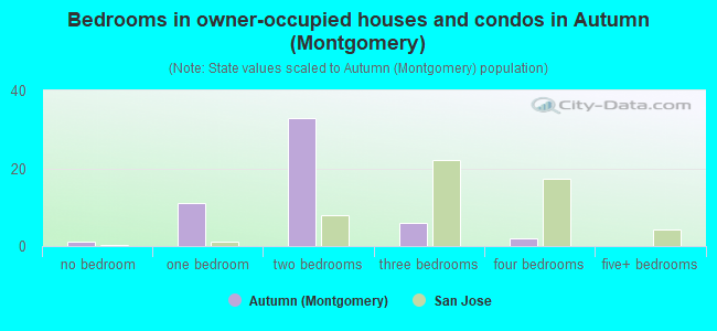 Bedrooms in owner-occupied houses and condos in Autumn (Montgomery)