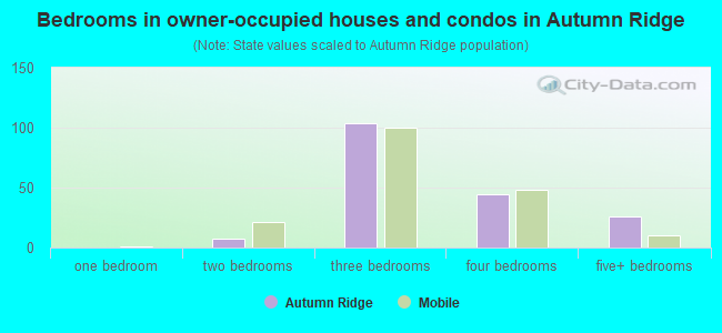 Bedrooms in owner-occupied houses and condos in Autumn Ridge