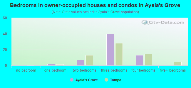 Bedrooms in owner-occupied houses and condos in Ayala's Grove