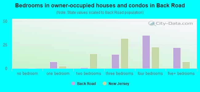 Bedrooms in owner-occupied houses and condos in Back Road