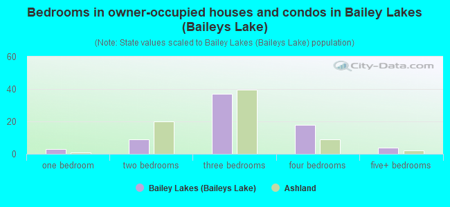 Bedrooms in owner-occupied houses and condos in Bailey Lakes (Baileys Lake)