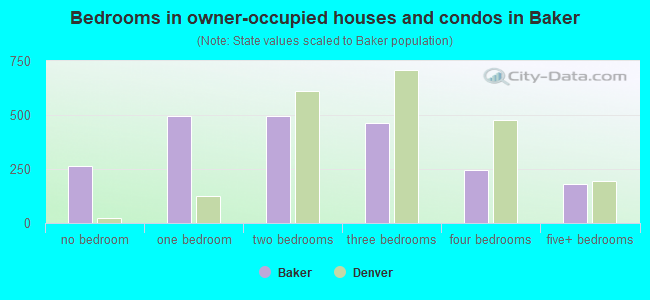 Bedrooms in owner-occupied houses and condos in Baker