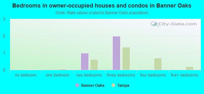 Bedrooms in owner-occupied houses and condos in Banner Oaks