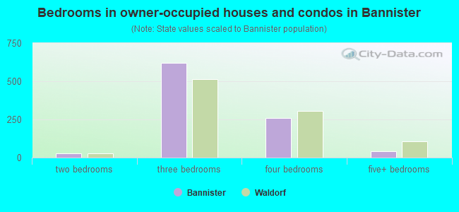 Bedrooms in owner-occupied houses and condos in Bannister