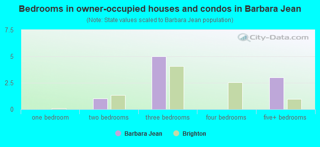 Bedrooms in owner-occupied houses and condos in Barbara Jean