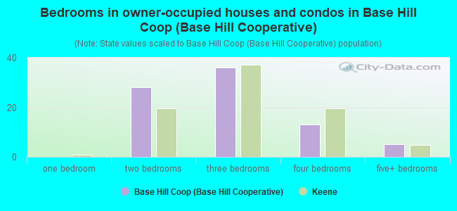 Bedrooms in owner-occupied houses and condos in Base Hill Coop (Base Hill Cooperative)